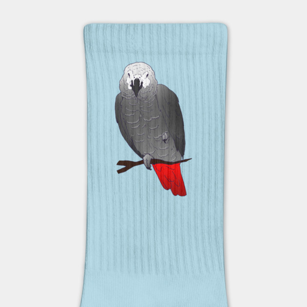 African Grey Parrot Perching and Sleeping on a Branch by Einstein Parrot