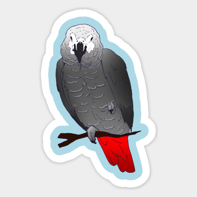 African Grey Parrot Perching and Sleeping on a Branch Magnet by Einstein Parrot