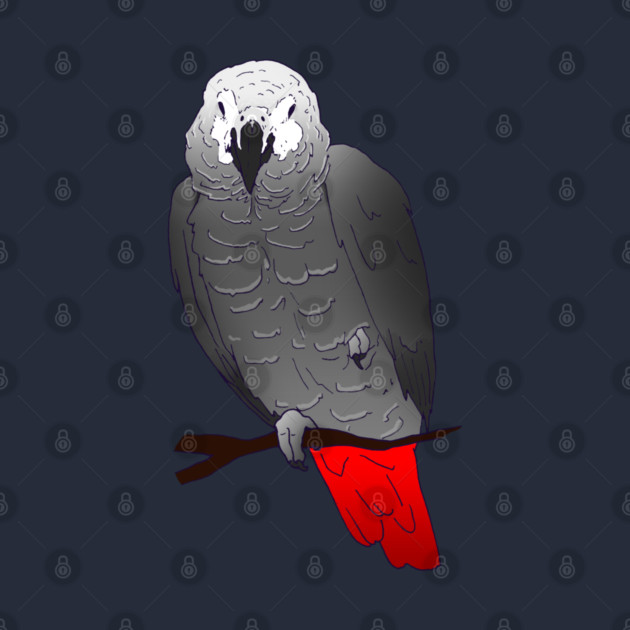 African Grey Parrot Perching and Sleeping on a Branch by Einstein Parrot
