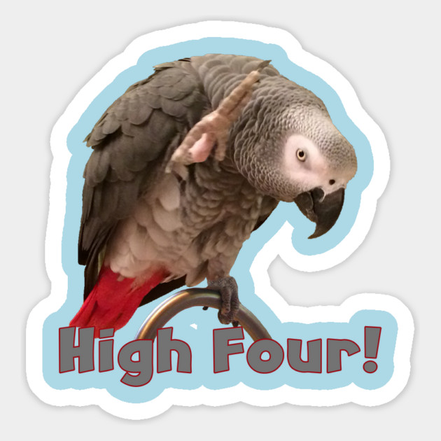 African Grey Parrot Waving High Four Magnet by Einstein Parrot