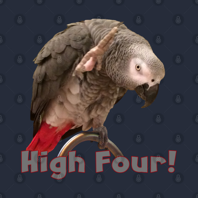 African Grey Parrot Waving High Four by Einstein Parrot