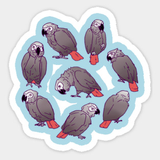 African Grey Parrot Flock Magnet