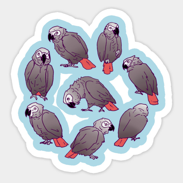 African Grey Parrot Flock Magnet by Einstein Parrot