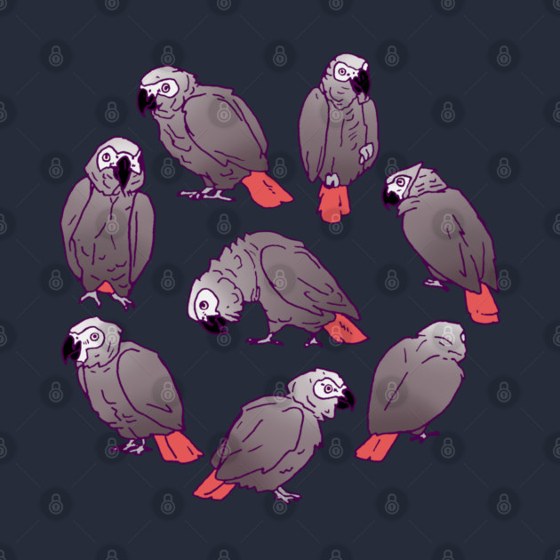 African Grey Parrot Flock by Einstein Parrot