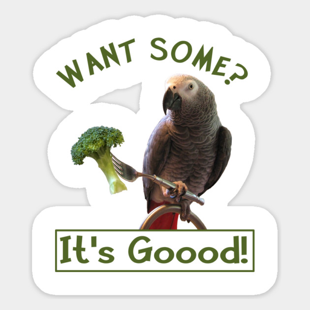 African Grey Parrot Broccoli Magnet by Einstein Parrot