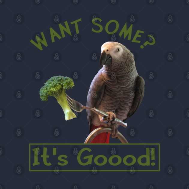 African Grey Parrot Broccoli by Einstein Parrot