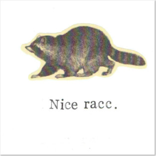 Nice Racc Posters and Art