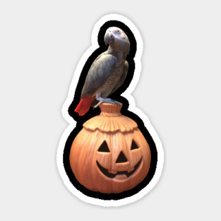 Jack-o-lantern Halloween African Grey Parrot Sticker
