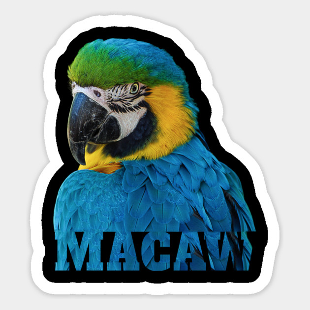 Beautiful Blue and Gold Macaw Parrot Image and Word Magnet by Einstein Parrot