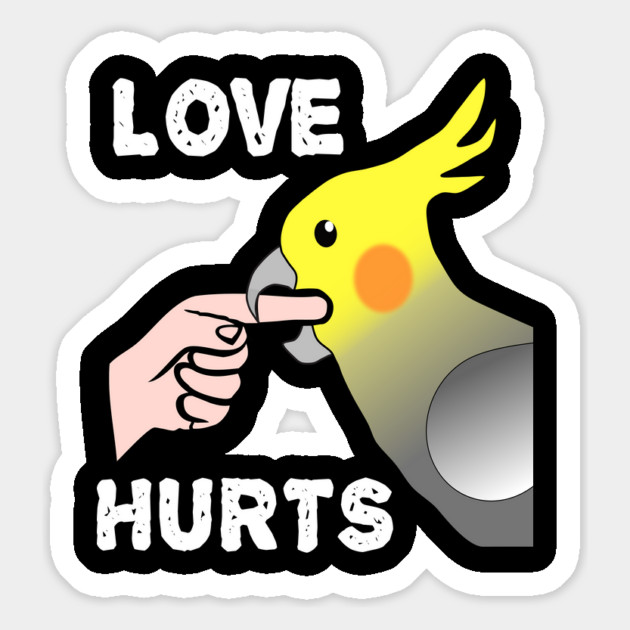 Love Hurts Cockatiel Male Parrot Biting Magnet by Einstein Parrot