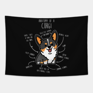 Corgi Tri Color Dog Anatomy Tapestry
