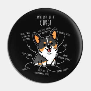 Corgi Tri Color Dog Anatomy Pin
