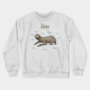 Anatomy of a Sloth Crewneck Sweatshirt