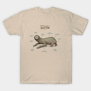 Anatomy of a Sloth T-Shirt