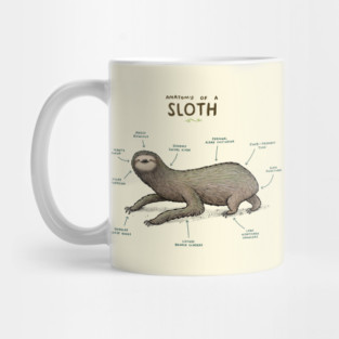 Anatomy of a Sloth Mug