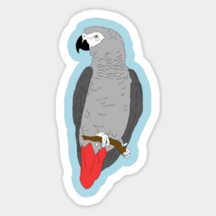 African Grey Parrot on Perch Magnet