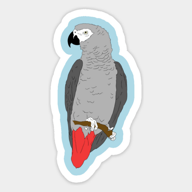 African Grey Parrot on Perch Magnet by Einstein Parrot