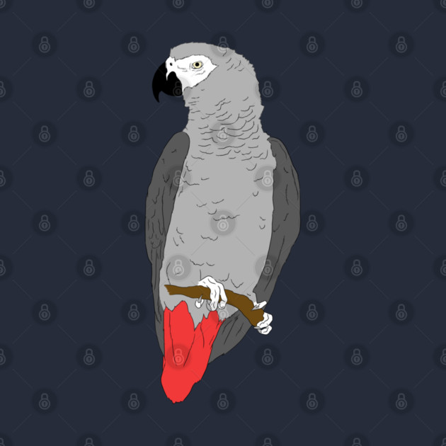 African Grey Parrot on Perch by Einstein Parrot