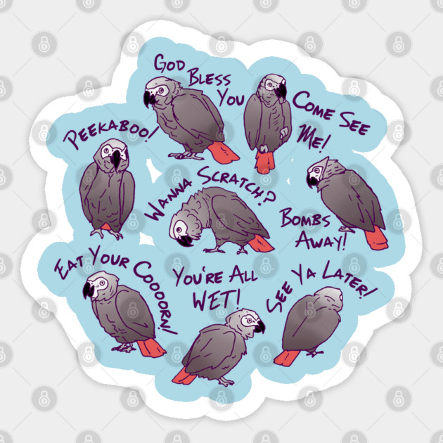 African Grey Parrots Funny Talking Sayings Sticker by Einstein Parrot