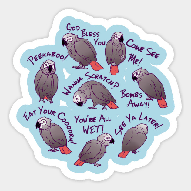 African Grey Parrots Funny Talking Sayings Magnet by Einstein Parrot