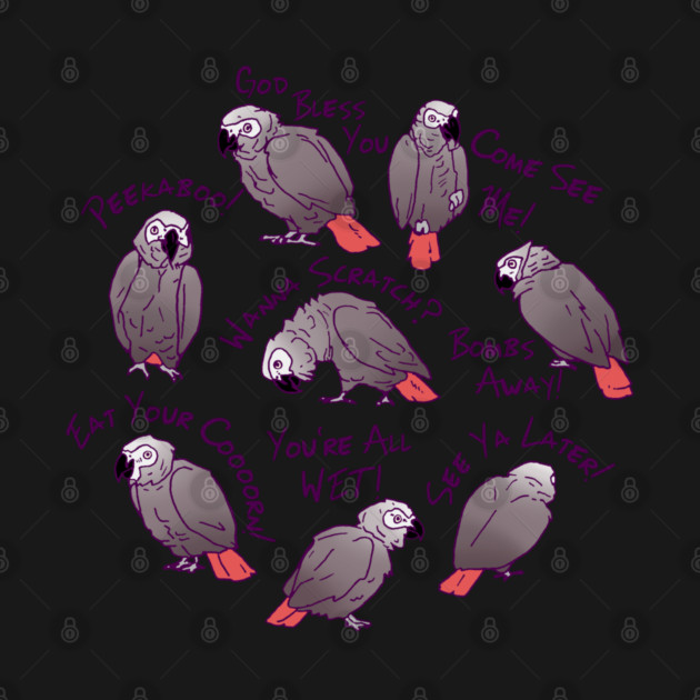 African Grey Parrots Funny Talking Sayings by Einstein Parrot