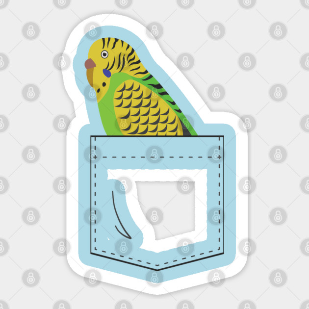 Budgie Parakeet Parrot In Your Front Pocket Sticker by Einstein Parrot