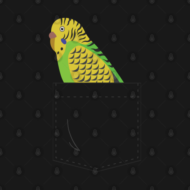 Budgie Parakeet Parrot In Your Front Pocket by Einstein Parrot