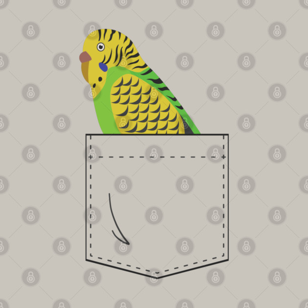 Budgie Parakeet Parrot In Your Front Pocket by Einstein Parrot