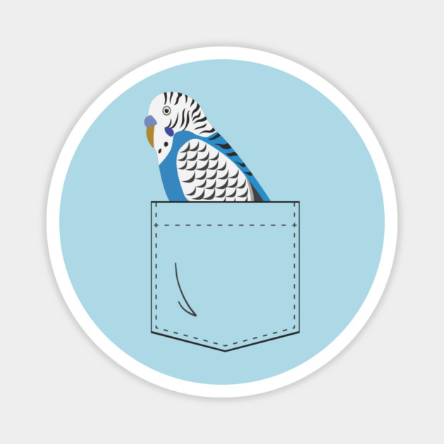 Blue Budgie Parakeet Parrot In Your Front Pocket Magnet by Einstein Parrot