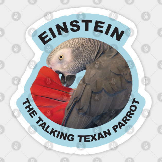 Logo of Einstein the Talking Texan Parrot Sticker by Einstein Parrot