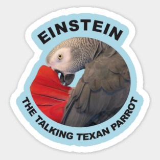 Logo of Einstein the Talking Texan Parrot Magnet