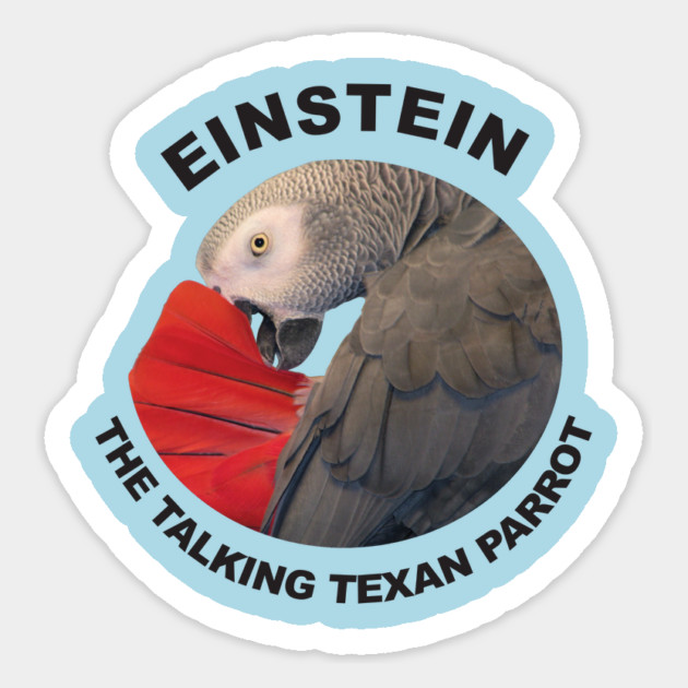Logo of Einstein the Talking Texan Parrot Magnet by Einstein Parrot