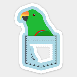 Eclectus Male Parrot In Your Front Pocket Sticker