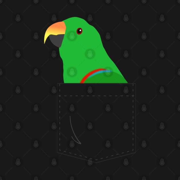 Eclectus Male Parrot In Your Front Pocket by Einstein Parrot