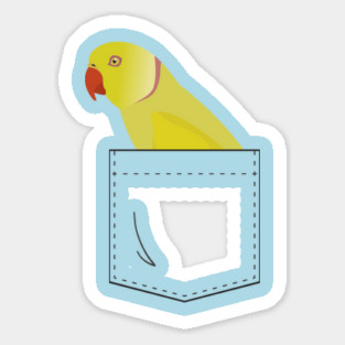 Indian Ringneck Parakeet Parrot In Your Front Pocket Sticker