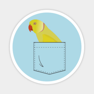 Indian Ringneck Parakeet Parrot In Your Front Pocket Magnet