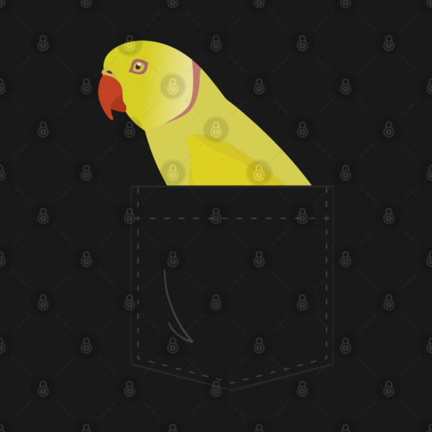 Indian Ringneck Parakeet Parrot In Your Front Pocket by Einstein Parrot