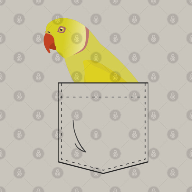 Indian Ringneck Parakeet Parrot In Your Front Pocket by Einstein Parrot