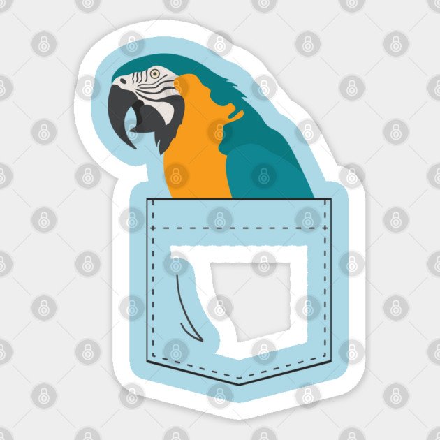 Blue and Gold Macaw Parrot In Your Front Pocket Sticker by Einstein Parrot