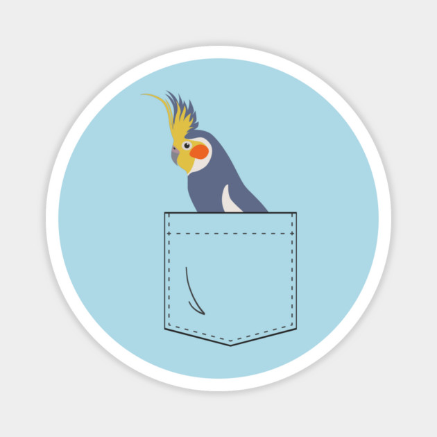 Cockatiel Parakeet Parrot In Your Front Pocket Magnet by Einstein Parrot