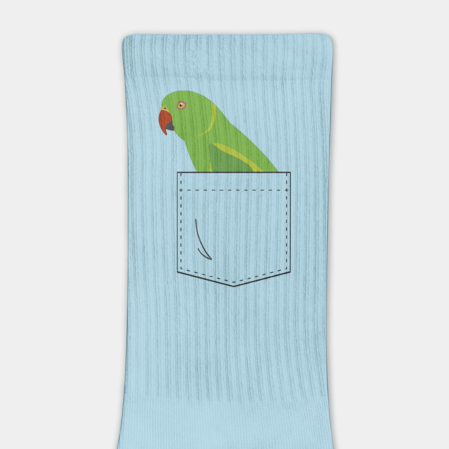 Indian Ringneck Parakeet Parrot Female Front Pocket by Einstein Parrot