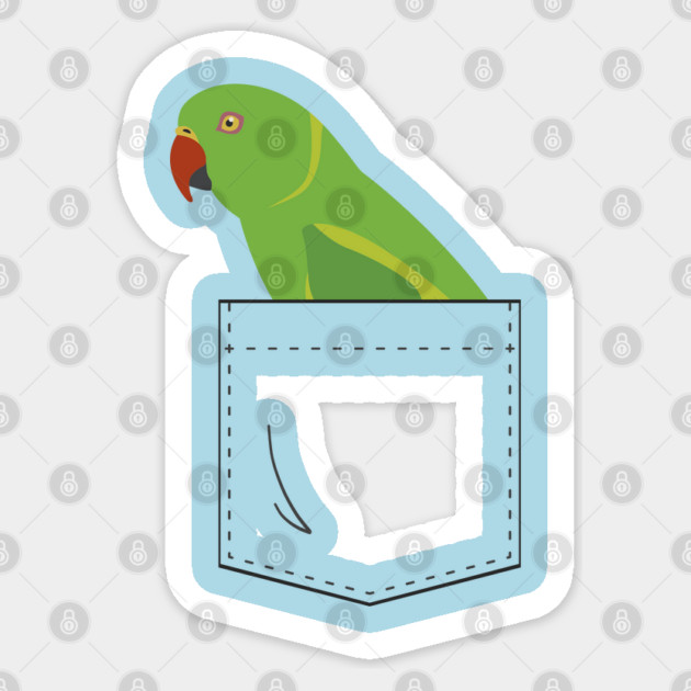 Indian Ringneck Parakeet Parrot Female Front Pocket Sticker by Einstein Parrot