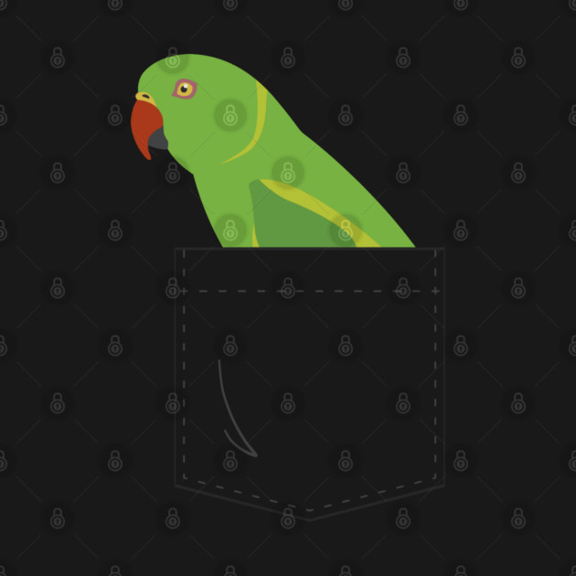 Indian Ringneck Parakeet Parrot Female Front Pocket by Einstein Parrot
