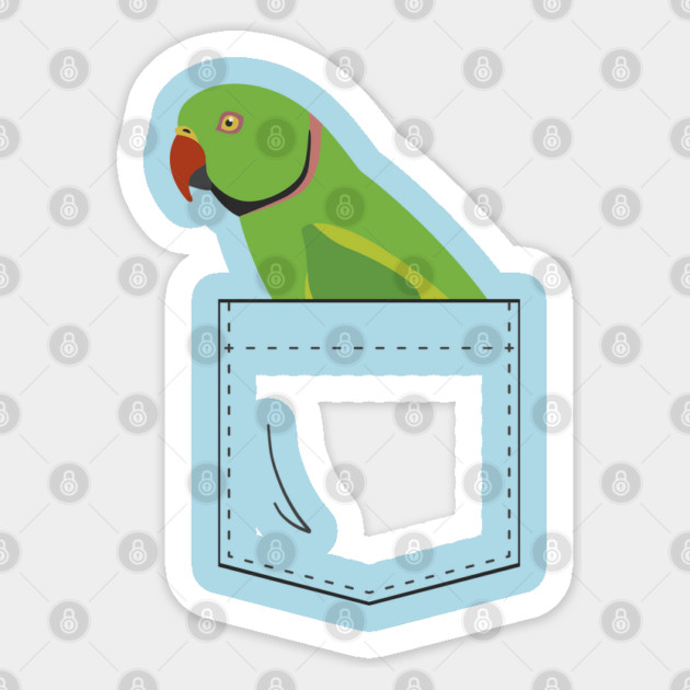 Indian Ringneck Parakeet Parrot Male Front Pocket Sticker by Einstein Parrot