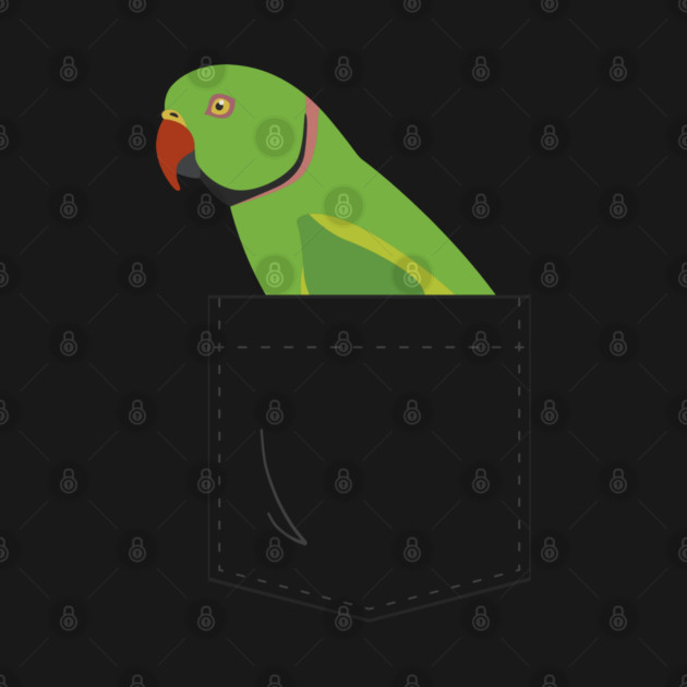 Indian Ringneck Parakeet Parrot Male Front Pocket by Einstein Parrot