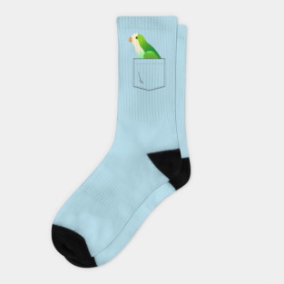 Quaker Parrot Monk Parakeet In Your Front Pocket Socks