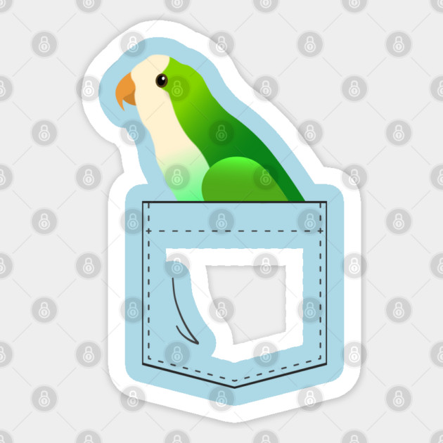 Quaker Parrot Monk Parakeet In Your Front Pocket Sticker by Einstein Parrot