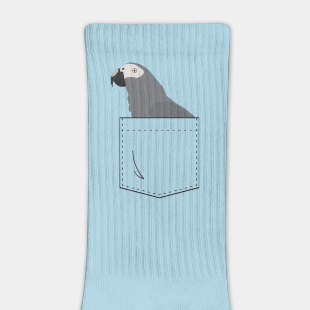 Timneh African Grey Parrot In Your Front Pocket by Einstein Parrot