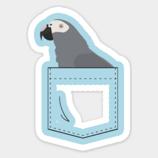 Timneh African Grey Parrot In Your Front Pocket Sticker