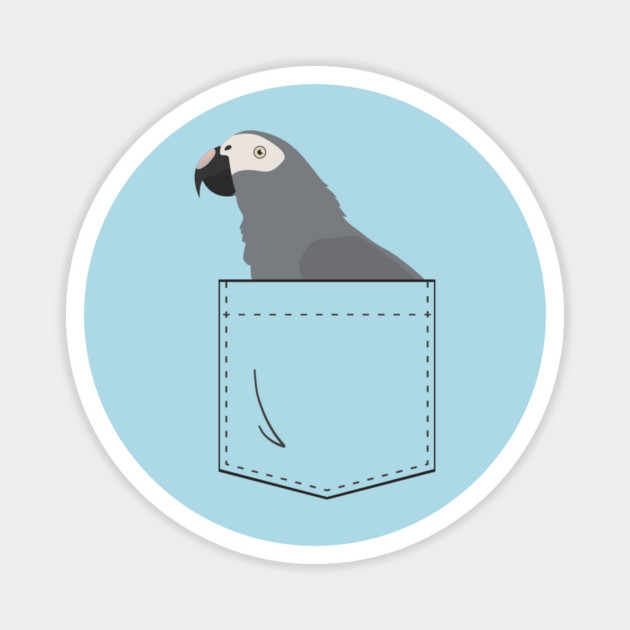 Timneh African Grey Parrot In Your Front Pocket Magnet by Einstein Parrot